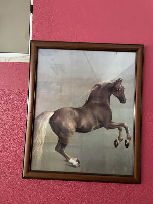 Quadro cavalo grande