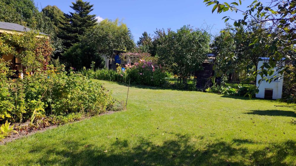 Sprzedam działkę ogrodową ROD