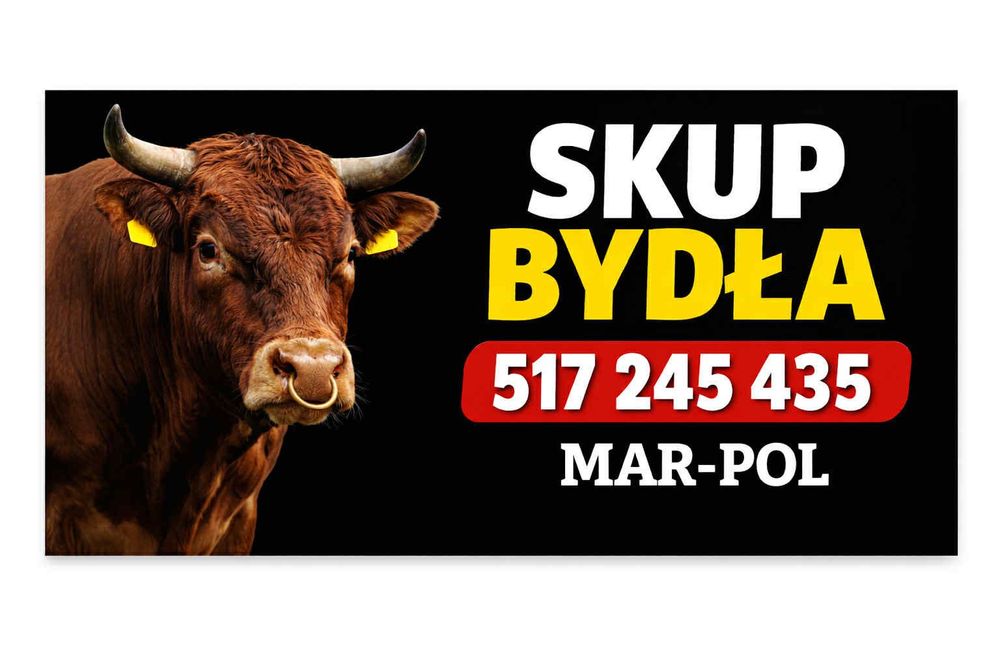 Skup bydła rzeźnego