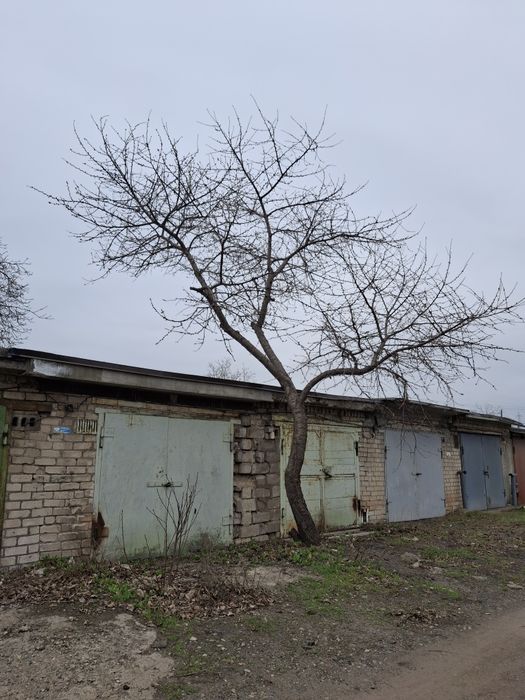 Сдам 2 гараже в кооперативе Север