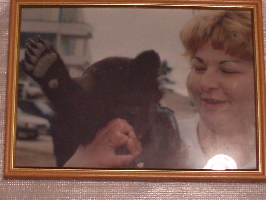 Міняю Нову Фотокартину на Ноутбук,Смартфон Samsung J3-J9, 908+доп