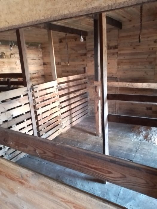 Молоко, творог, сливки, масло, згущенка з доставкою!