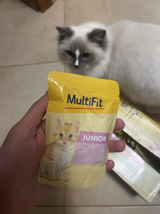 Karma Multifit Chicken Mix saszetki Junior 30 saszetek mokra