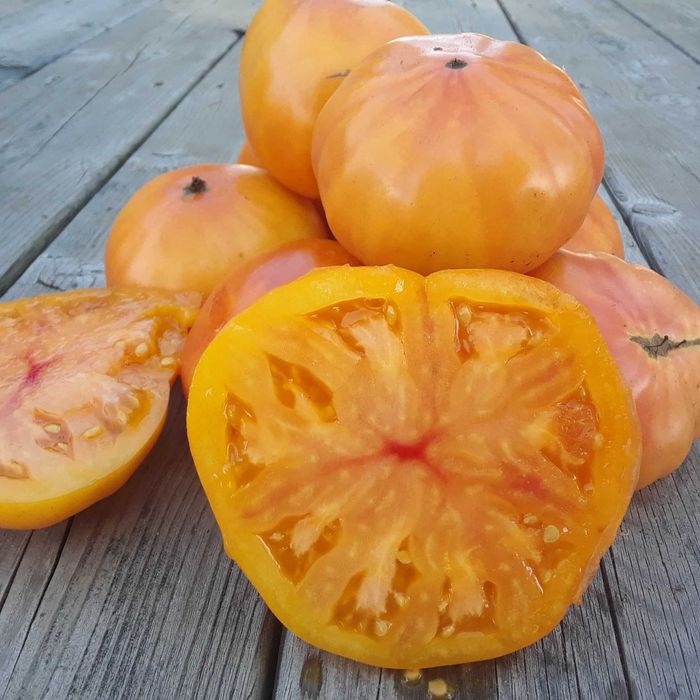 10 Sementes Tomate Ananás