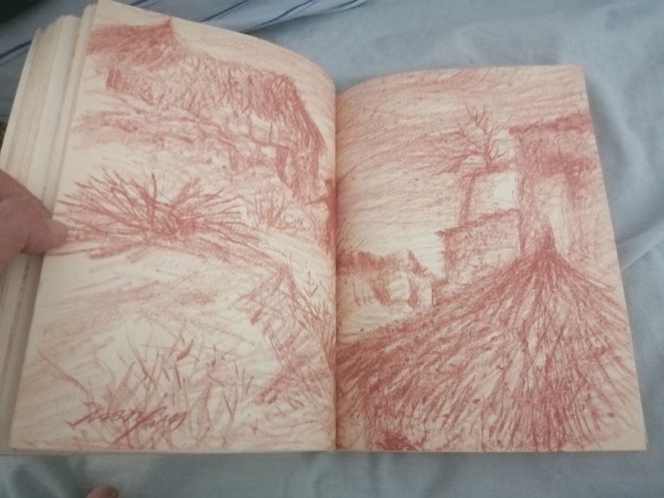 Livro Ferreira de Castro | Terra Fria