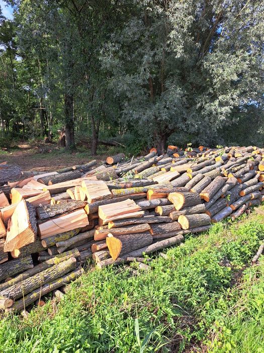 Drewno opałowe - tanio