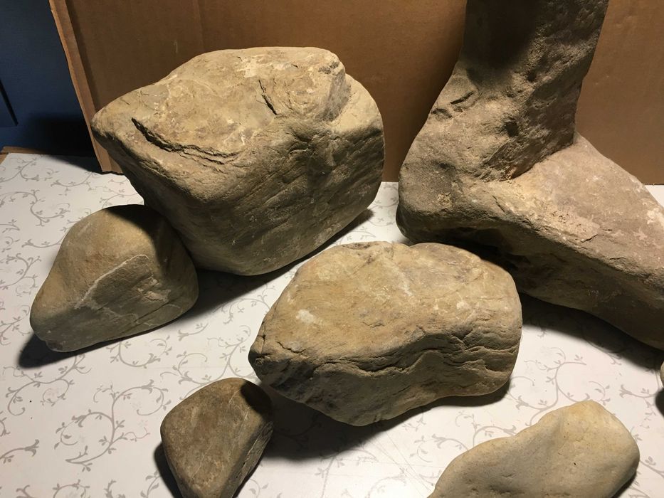 Зоотовари тераріум каміння