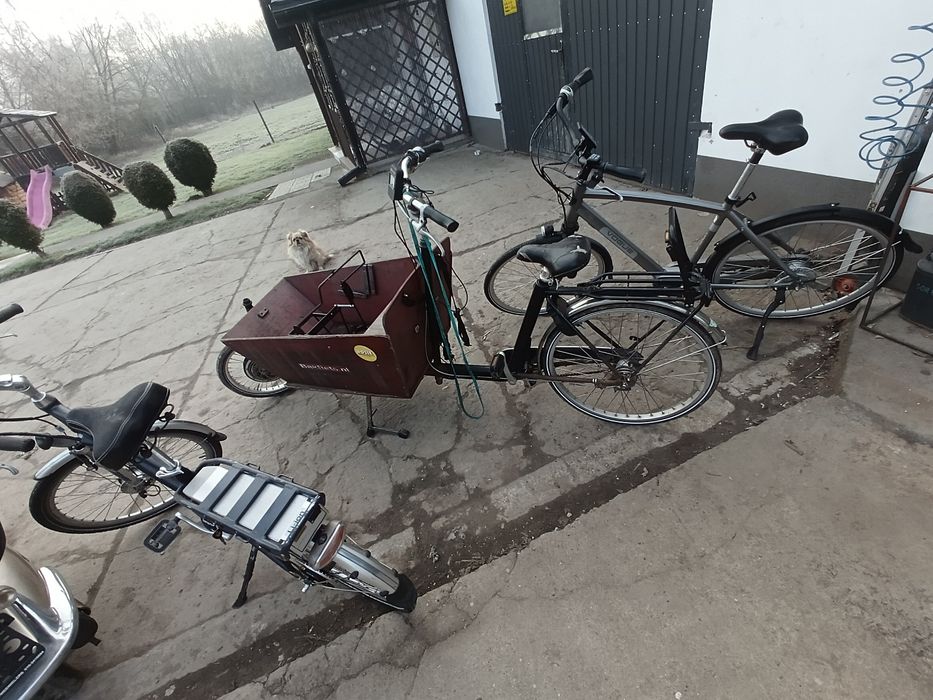 Rower cargo bakfiest elektryczny riksza wózek trajka elektryk towarowy
