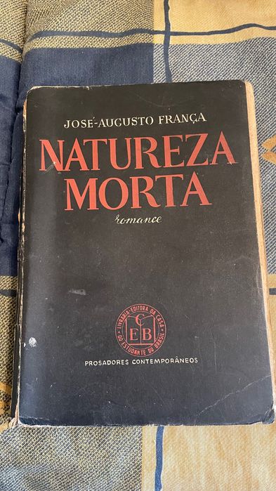 Livro Natureza Morta Romance