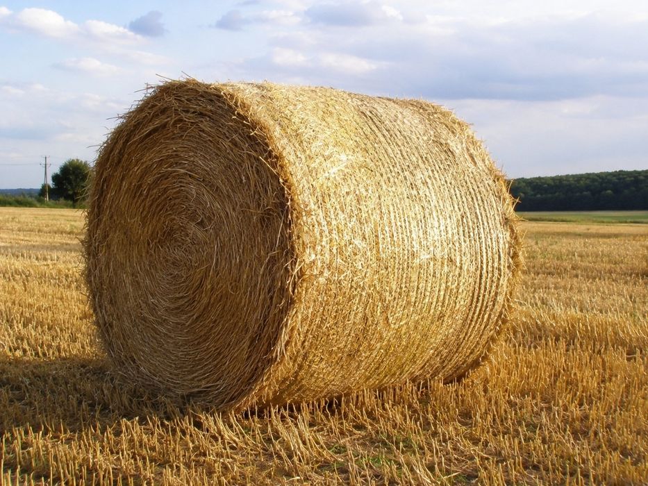 Sprzedam siano w belach i słomę w belach