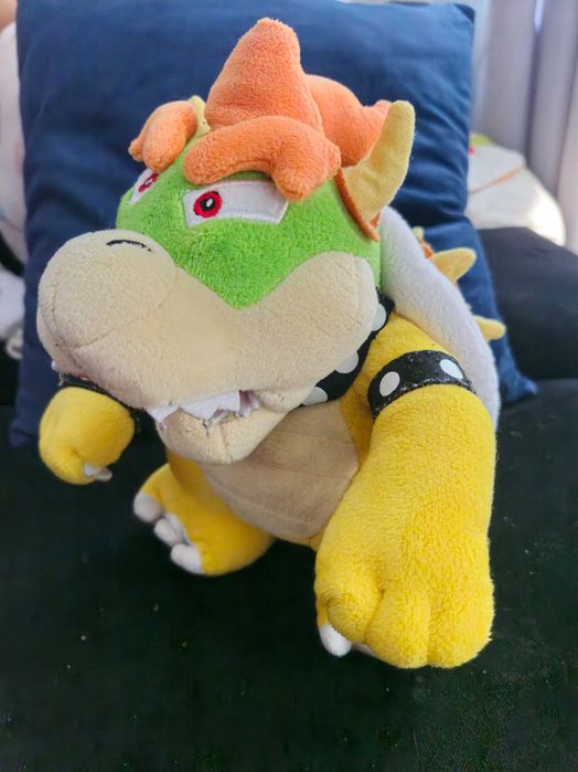 Bowser Mario Nintendo