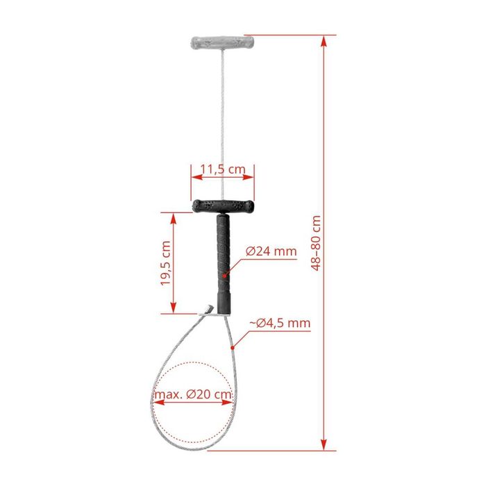 Pętla do prowadzenia knura