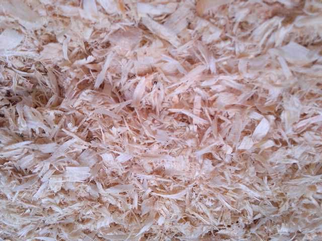 Sprzedam czyste, suche, odpylone trociny sosnowe 20 kg