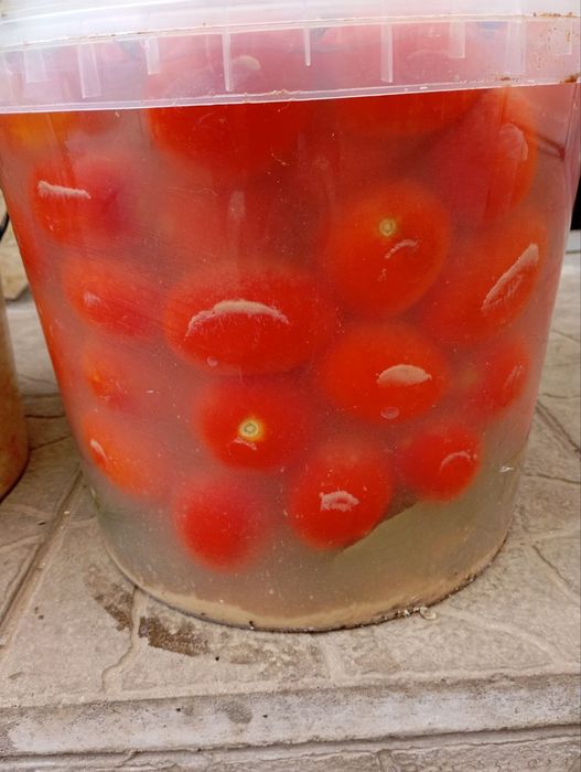 Квашені помідори