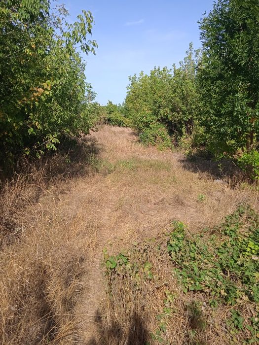 Продам участок 15 соток под застройку.