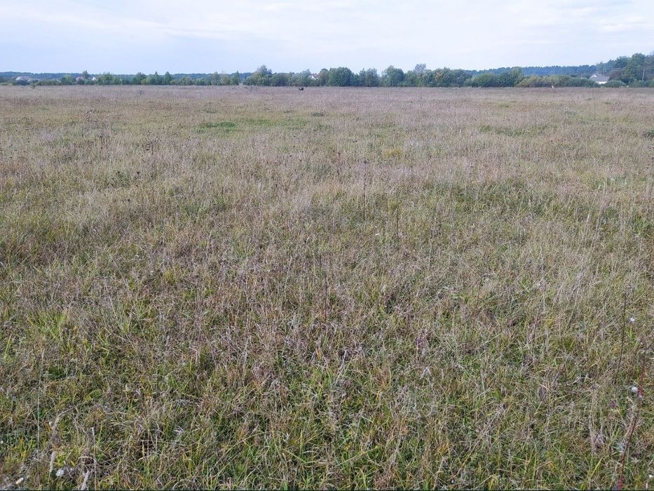 Земельна ділянка