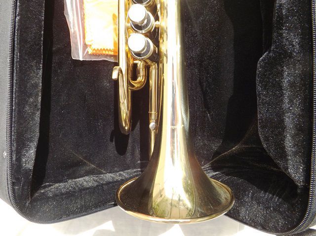 Corneta de 3 válvulas64174816736514122