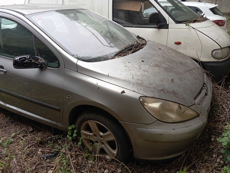 Peugeot 307 1.4 hdi  2003