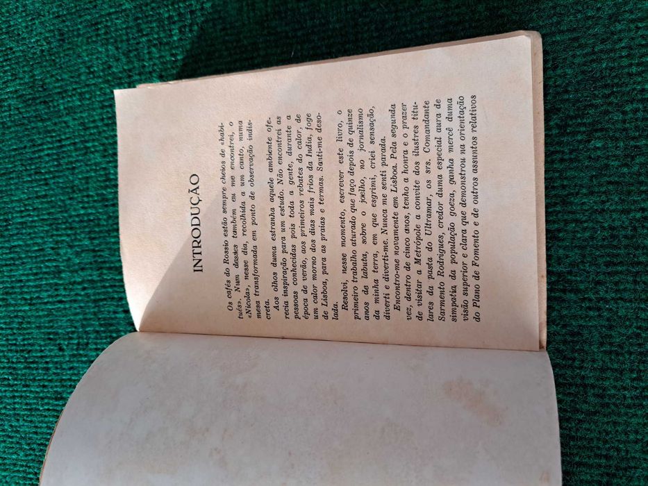 Salteadores da Honra Alheia na Índia Portuguesa - Leonor de Loyola