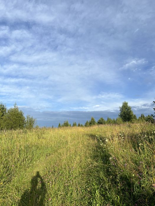 Продаж сільсько-господарської землі