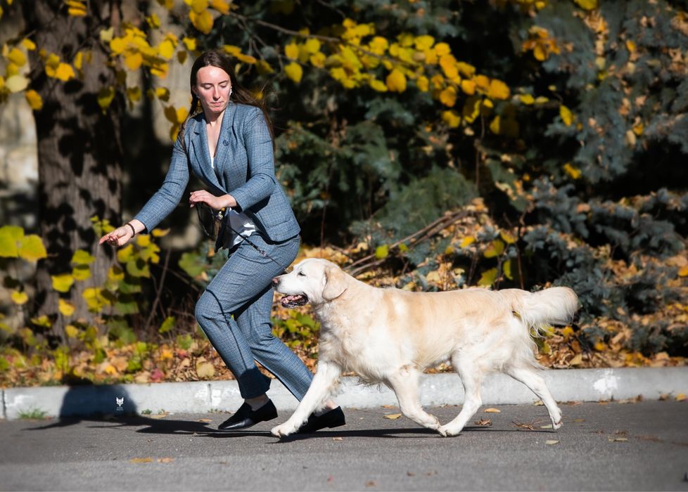 Чемпіон для в‘язки! КСУ-FCI