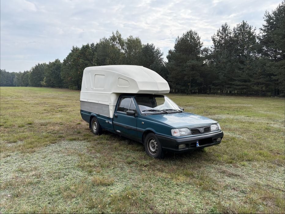 Polonez