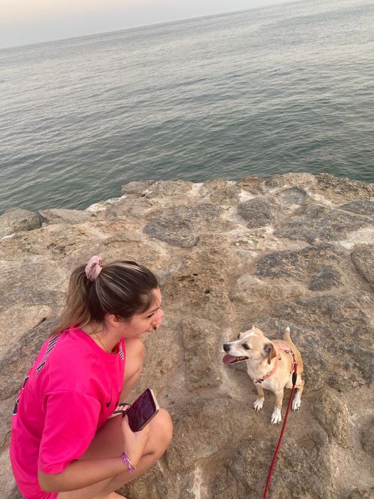 Pet sitting acessível cascais: estadias, visitas, passeios e pet táxi.