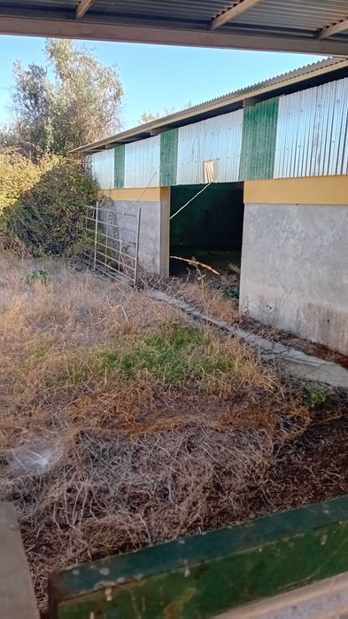 Empresa Agricola c/ 12,5 hecates - Lousa- Castelo Branco