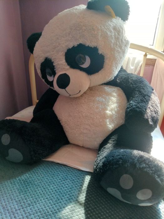 Panda grande lindo