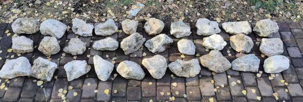 Kamień giallo mori 30 sztuk ogrodowy ozdobny