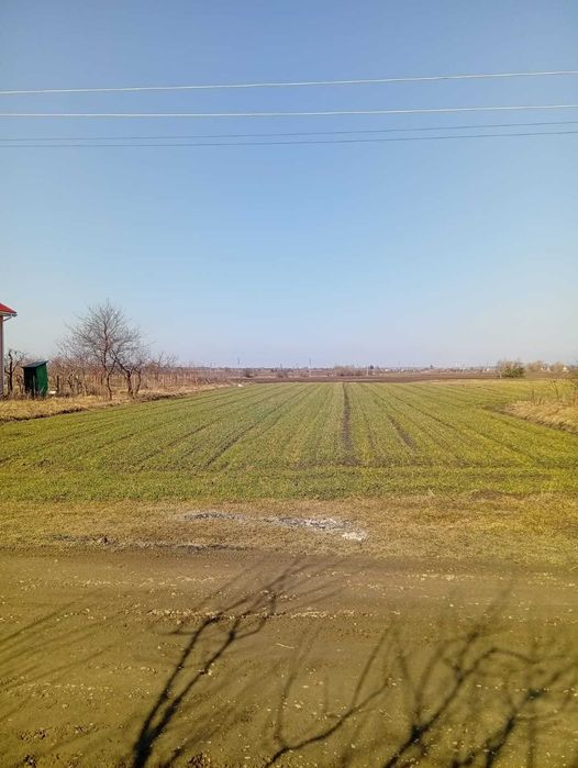 Продам ділянку під будівництво с.Нова Ураїнка