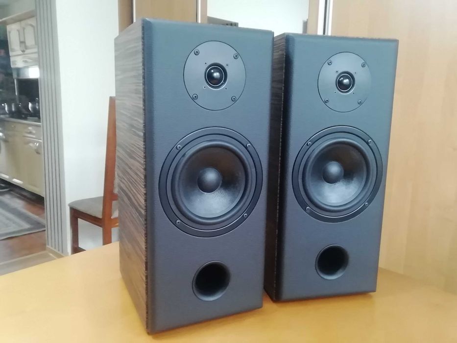 Kolumny głośnikowe diy STX