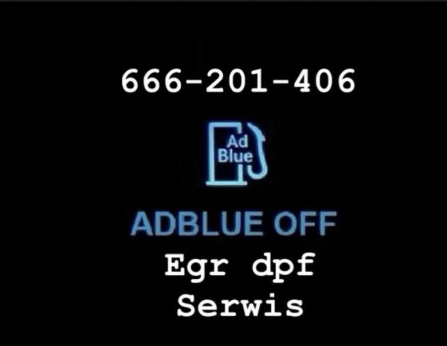 Mobilny Serwis / Adblue / DPF / EGR / UREA / Czip Tuning / Usuwanie błędów
