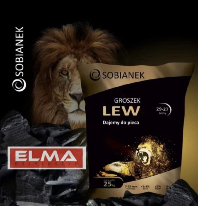 Groszek Sobianek LEW 29mj /cena Działoszyn/
