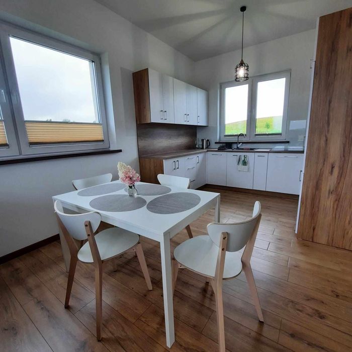 Domek wypoczynkowy z 2 apartamentami do wyboru,  basen, sauna, balia