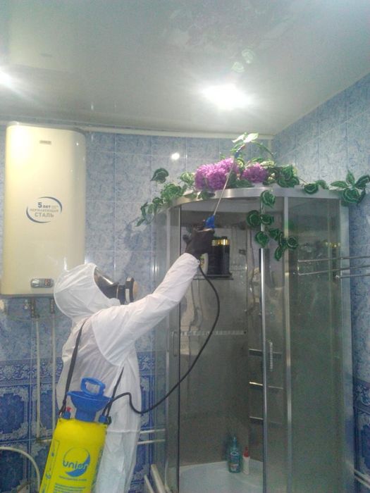 Дезинфекція Винищення тарганів клопів щурів Якість гарантуємо