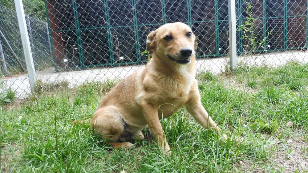 Biedny i zagubiony Etyl szuka stabilnego domu