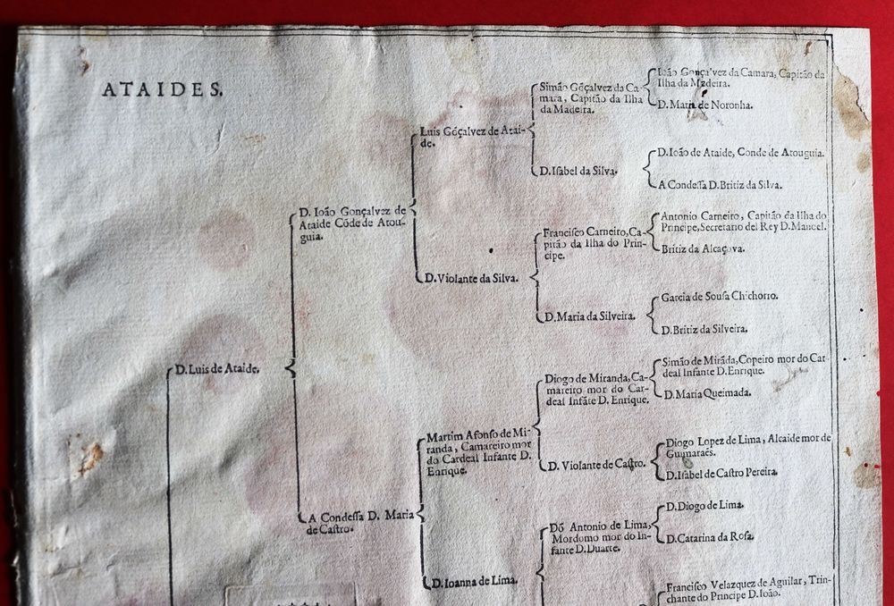 Ataídes, Condes de Atouguia bela árvore de costados 1623 rara