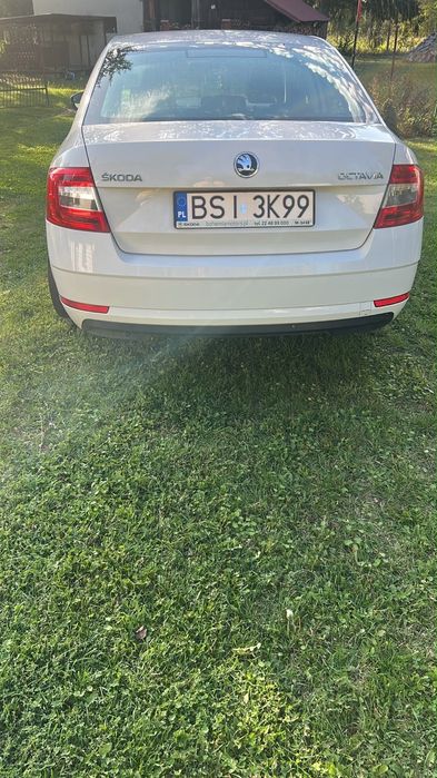 Skoda Octavia 1.6 TDI 115 KM | 2017 r. | 225 tys. km | 2 komplety opon | Zadbana