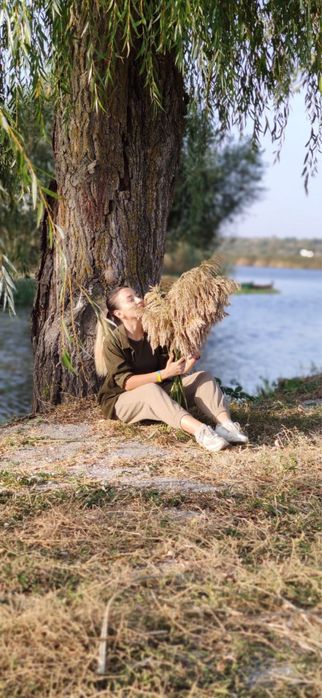 Сухоцвіття. Очерет, камиш, пампасна трава камыш. НЕ СИПЛЕТЬСЯ