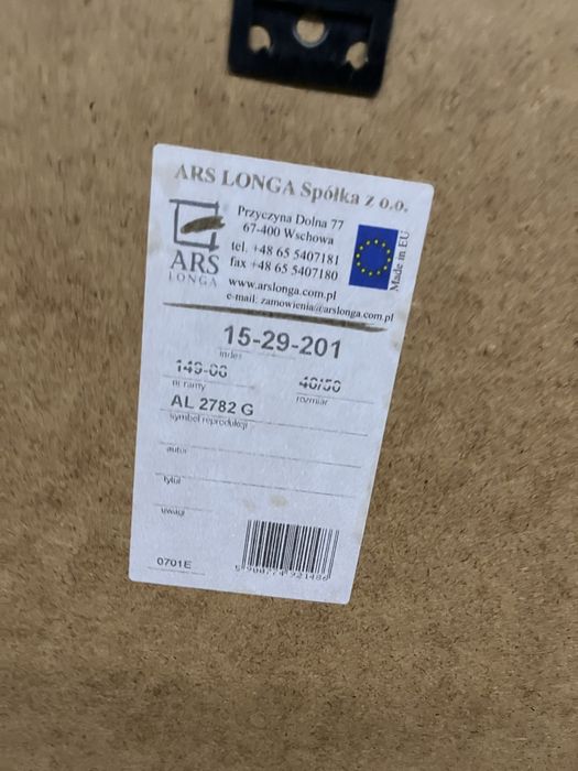 Obraz w ramie kaktus Ars Longa 53cm x 43cm