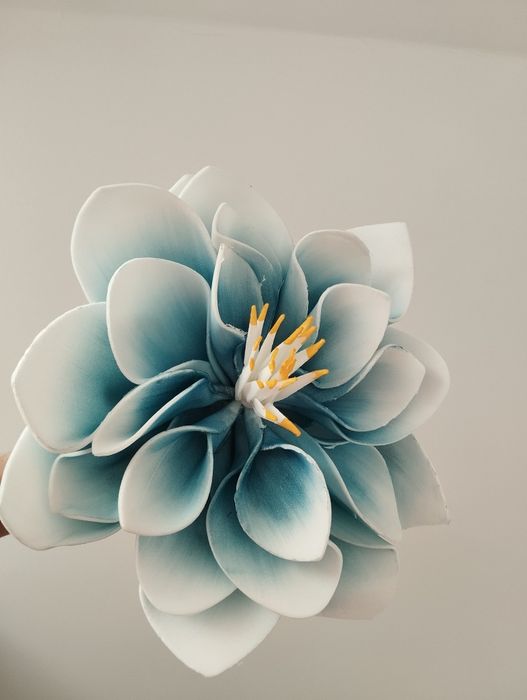 Magnolia piankowa
