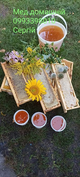 Пилок бджолиний,пыльца пчелиная ,обножка пчел