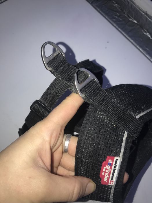 Шлейка для собак Curli розмір с м