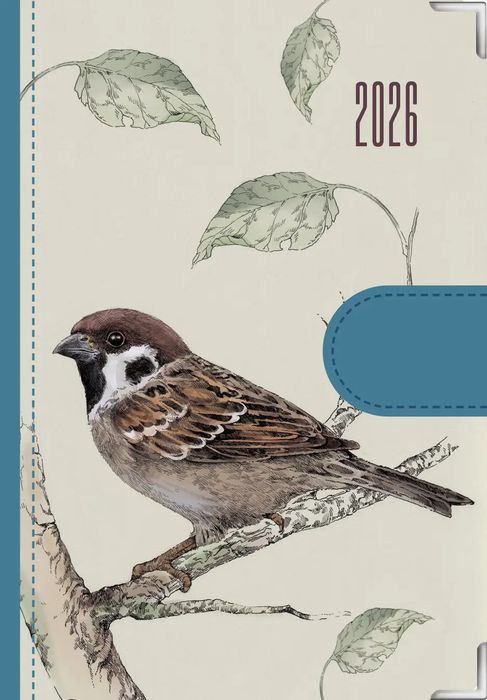 Kalendarz 2026 dzienny Natura Ptaki. Eurograf BIS kalendarze