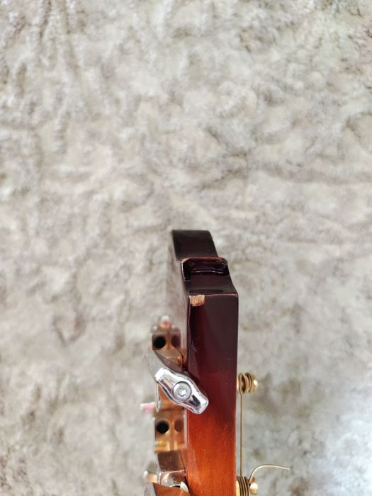 Gitara elektroakustyczna Ibanez AEL20EVV1201