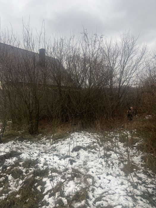 Продам ділянку 40 соток Ковалин