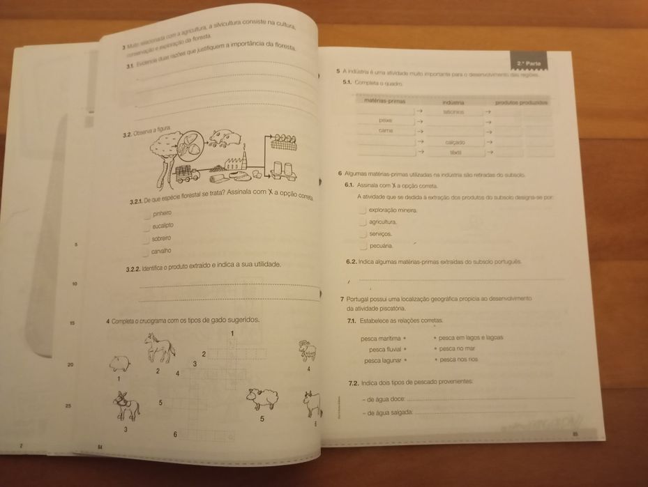Livro escolar de fichas