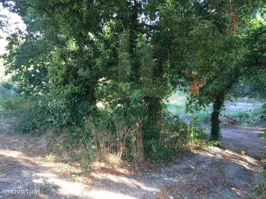 Terreno para Construção