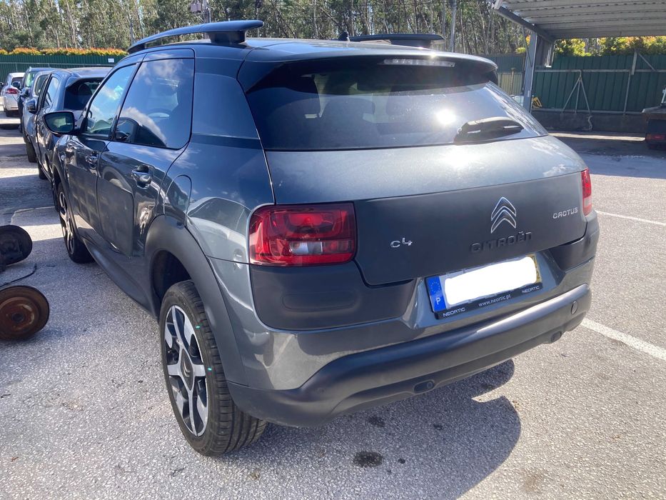 C4  CACTUS 2017 Gasoleo